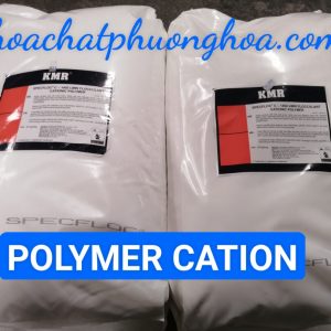 Polymer cation
